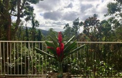 #16  El Verde Homes, Barrio Jimenez, Rio Grande, 00745