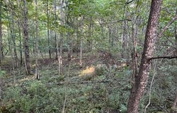 L1.12 Rossman Fly Road, Summit, NY 12175
