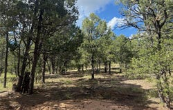 Los Nidos lot: 16, Pecos, NM 87552