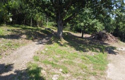 17711 E State Rd 156 lot: 12, Florence, IN 47020