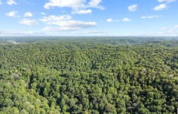 Crocus Creek Road, Burkesville, KY 42717