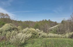0 Roscoe Road, Madison Twp, OH 45656
