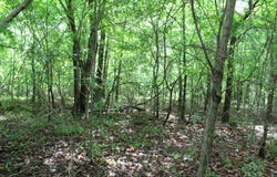 426, Dardanelle, AR 72834