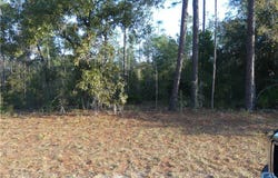 SW 93rd Lane Road lot: 31, Dunnellon, FL 34431