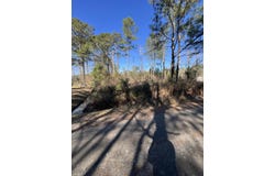 Mims Lane, Georgetown, SC 29440