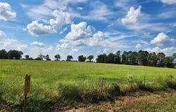 Lot 4 FM1402, Mount Pleasant, TX 75455