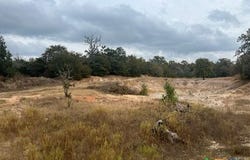 Lot 18 Woodland Trail Ranch, Caldwell, TX 77836