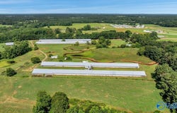 823 Coal Mine Road, Boaz, AL 35957