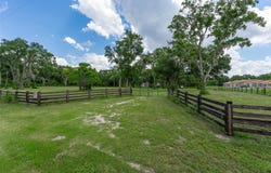 6301 DORA DRIVE, MOUNT DORA, FL 32757