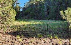 110 Dead Log Ln, Texas Creek, CO 81223