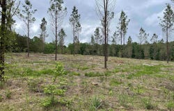 0 Grant 433, Sheridan, AR 72150