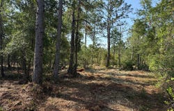 DOG LEG TRAIL, OSTEEN, FL 32764