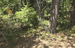 26 Diamond Peak Drive, Crescent Lake, OR 97733