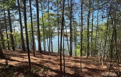 1036 Tranquil Cove Court unit: 26, Connelly Springs, NC 28612