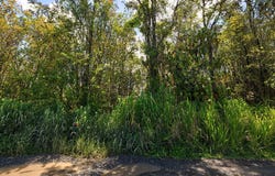 ROAD 1 (UHINI ANA), Mountain View, HI 96760