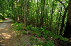 Lot 13a Sugar Maple Loop Road, Sevierville, TN 37862