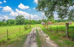 2685 Presott Road, Florala, AL 36442