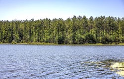 00 Sandhill Church Road, Ellisville, MS 39437