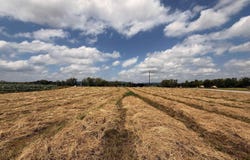 Diane Kay Way lot: 30, Merrimac, WI 53561