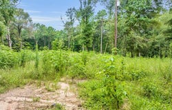 968 CR 3908, Jacksonville, TX 75766