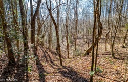 Airport Rd. Lot 8, Rockwood, TN 37854