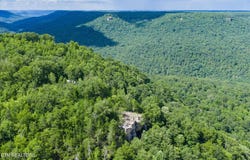 1136 Parkstown Ext, Wilder, TN 38589