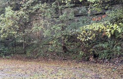 3348 Lower Pompey Branch Road, Shelbiana, KY 41562