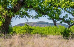 5230 County Road 409, Valley Spring, TX 76885