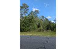 0 IG Lanier Rd, Pembroke, GA 31321