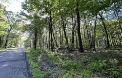 117 & 118 Kittanning  (Overland Pass) Run, Claysburg, PA 16625