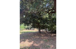 Camelia Drive, Pass Christian, MS 39571