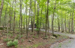 105 Lyman Lane, Clifton Township, PA 18424