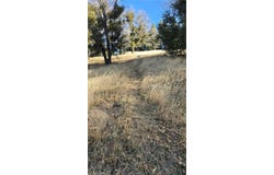 0 Cross Trail, Cedarpines Park, CA 92322