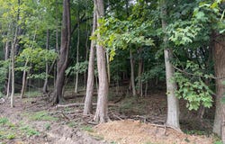 1151 MILLER Road, RIDGELEY, WV 26753
