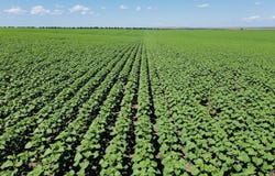 TBD Co Hwy 15, Presho, SD 57568