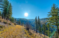 Nhn McGinnis Meadows - Bayhorse Road Section 7, Libby, MT 59923