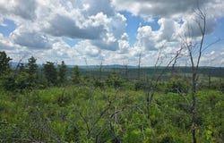 2 TBD Saloniaa Road, Leflore, OK 74942