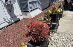 16401 San Pablo Ave, San Pablo, CA 94806