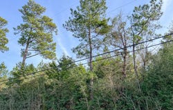 Fresenius Rd, Silsbee, TX 77656