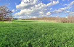 0001 FF Highway, Everton, MO 65646