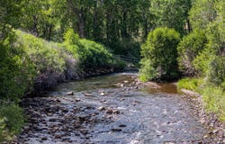 84 Bow Fiddle Ranch Rd, Centennial, WY 82070