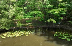 Oak Creek Rd, Fayette, AL 35555