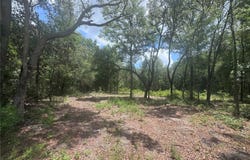 751 NE 139TH Avenue, WILLISTON, FL 32696