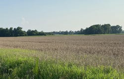 2328 Page Rd Road, Godwin, NC 28344