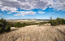 123 Ridge View Road, Magdalena, NM 87825