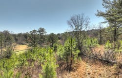 Lots 2&4 Walnut Hills /Spur 6, Mineral Bluff, GA 30059