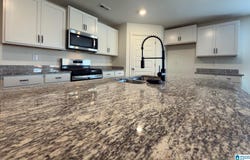 256 ARCHERS BROOK LANE, SPRINGVILLE, AL 35146