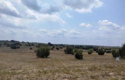 514 Hollow Drive, Lipan, TX 76433