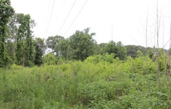 1088 N Clark Ave, Mccomb, MS 39648