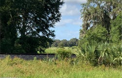 7245 SE 246 Terrace, Hawthorne, FL 32640